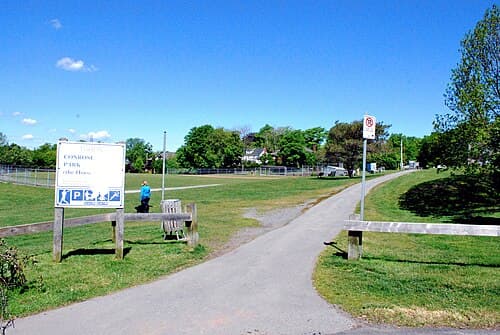 Condition report for Conrose Park